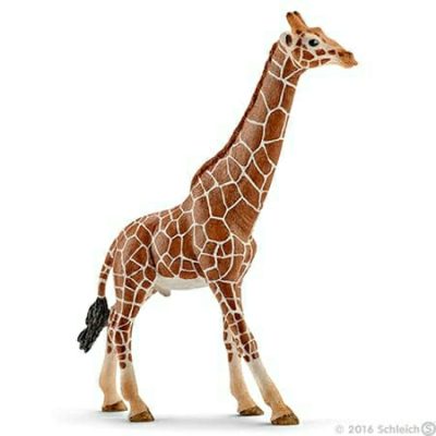 Imaginative Play |  Giraffe, Male Imaginative Play Imaginative Play