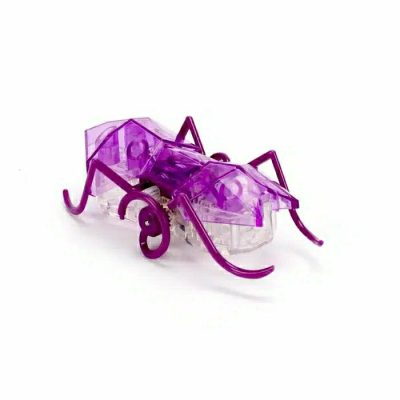 Rc & Electronics |  Hexbug Micro Ant – Purple Rc & Electronics Rc & Electronics